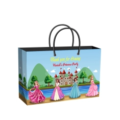 Princess Theme Party Supplies | Wide Gift Bag | Plain or Personalized Return Gift Bag